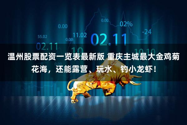 温州股票配资一览表最新版 重庆主城最大金鸡菊花海，还能露营、玩水、钓小龙虾！